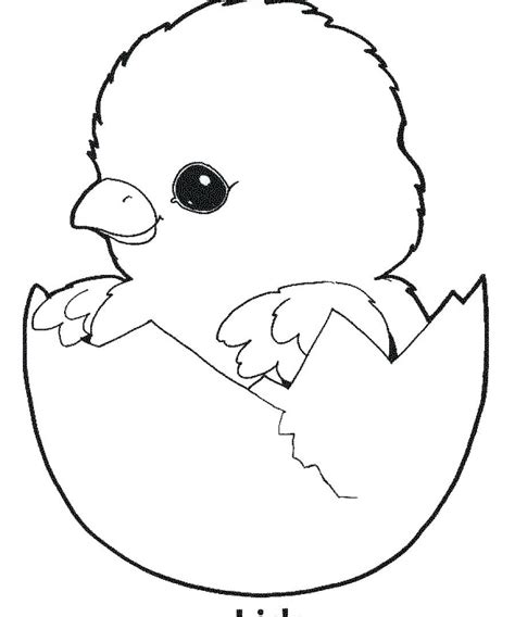 Chicken Outline Drawing At Getdrawings Free Download