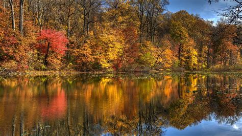 Landscape Nature Tree Forest Woods Autumn Lake Reflection
