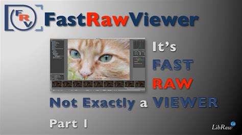 Fastrawviewer Full Programsdase