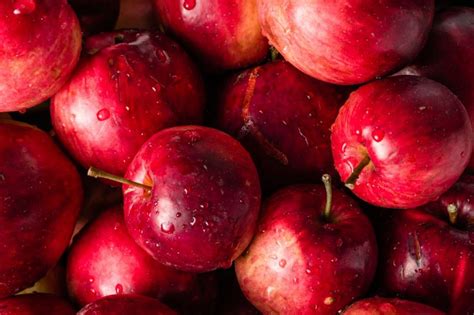 Pommes La Liste Des 11 Variétés Pour Votre Verger
