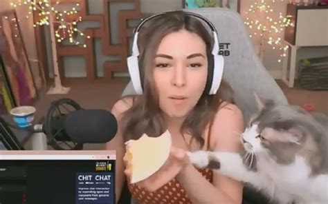 Alinity Divine Cat Why Popular Twitch Streamer Is Being Investigated 606