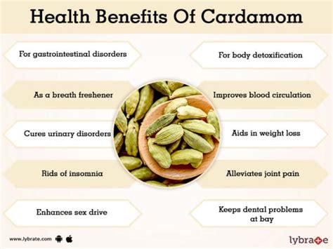 Health Benefits Of Cardamom That You Need To Know The Fact Eye
