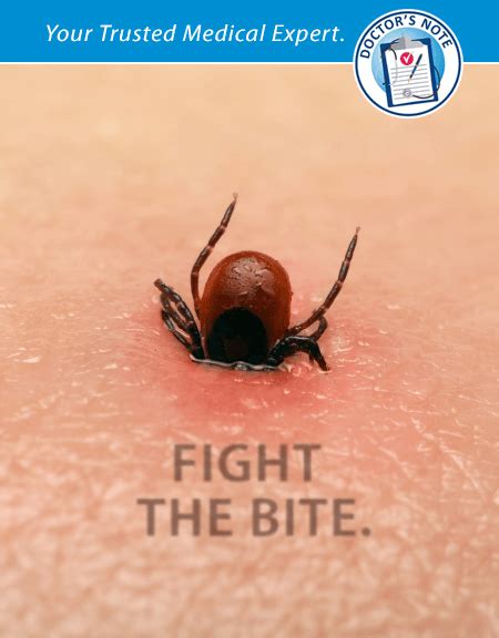 Urgent Care Treatment For Tick Bites Convenientmd