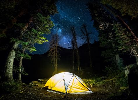 Nature Landscape Camping Forest Starry Night Milky Way Trees Long