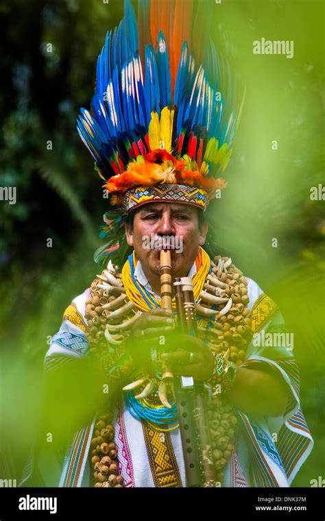 a shaman from the kamentsá tribe wearing a colorful feather headgear plays flute during the