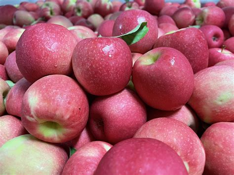 Oakwood Fruit Farm