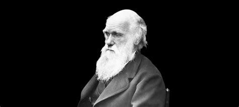 Biografía De Charles Darwin El Padre De La Teoría De La Evolución