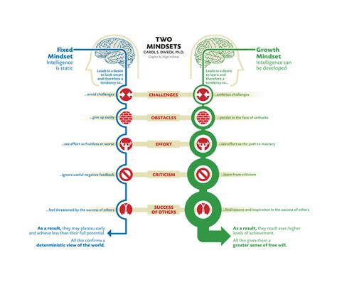 Mindset The Psychology Of Success By Carol Dweck Infographic Wills