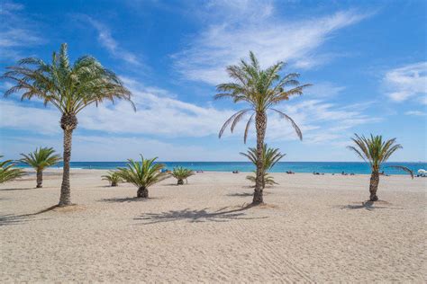 We did not find results for: Restaurante El Castillo de Javier en Salou | Litoral Costa ...