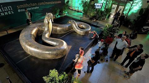 Titanoboa Is The Biggest Snake To Have Ever Roamed The Earth Largest
