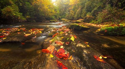Reach Five Chattooga River In Autumn Matt Tilghman Photography