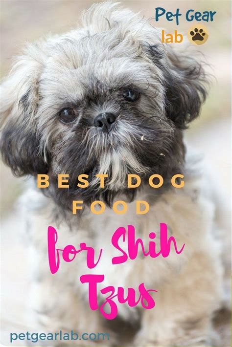 Shih Tzu Puppy Names Boy Top Dog Information