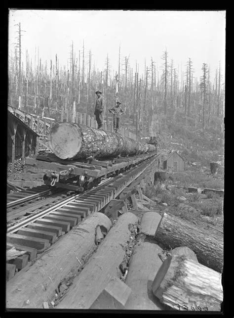 12 Rare Photos Show Oregon S Logging History Like Never Before