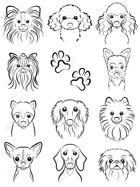 Dog Line Drawing Tatuagem De Poodle Tatuagem De Cachorro Arte