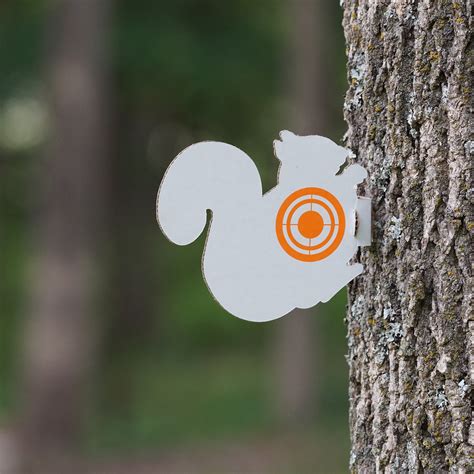 Squirrel Shooting Targets