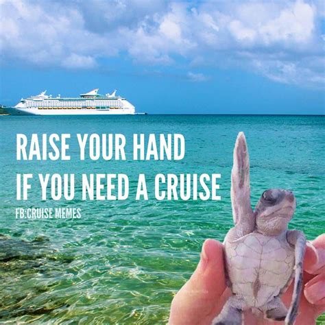 Cruise Meme Fun Cruise Quotes Vacation Quotes Funny Cruise Pictures