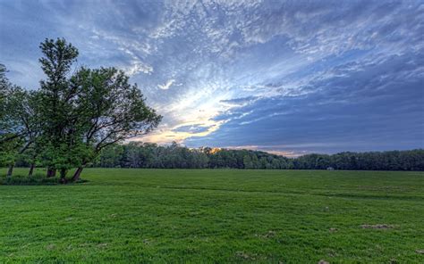 Wallpaper Field Meadow Greens Grass Sky Clouds Air Tree Evening 1680x1050