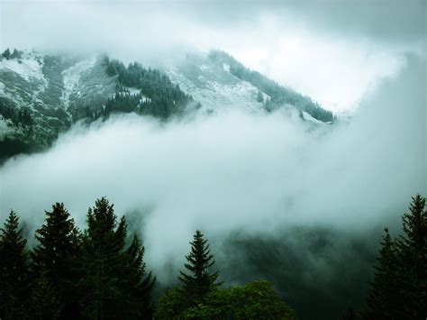 Mountain Landscape With Forest And Clouds And Fog In New