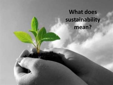 What Is Sustainability