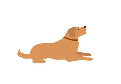 Dog Laying Down Side View Illustrations Royalty Free Vector Graphics