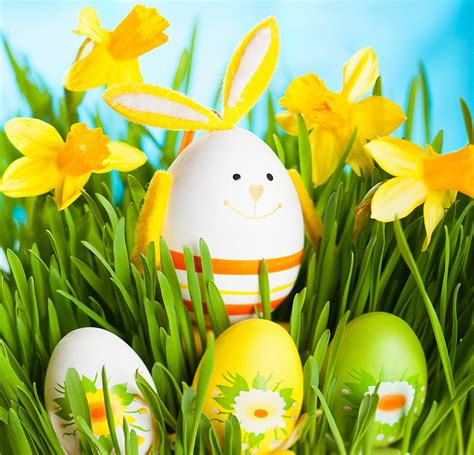 Easter Time Grass Daffodils Eggs Flowers Spring Easter Hd