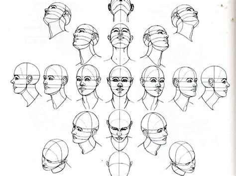 Image Result For Face Looking Up Drawing The Human Head