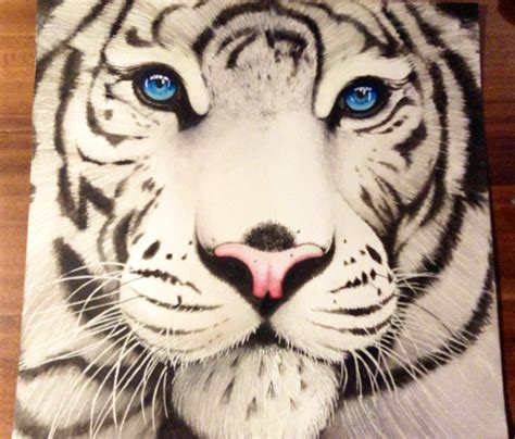 Pencil Tiger Face Drawing Images Rizop