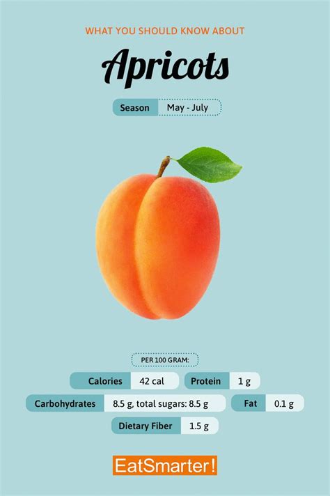 Apricots Eat Smarter Usa