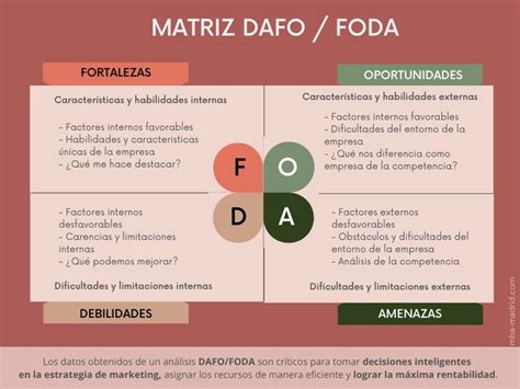 An Lisis Dafo En La Estrategia De Marketing De La Empresa