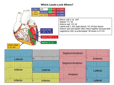 12 Lead Ecg Reference Chart Cardiovascular Nursing