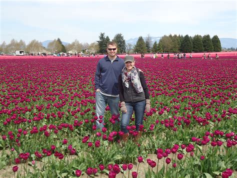 Tulip Festival Mt Vernon Washington Tulip Festival Life Is