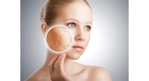 Dry Skin Care Tips And Totkay For A Better Looking Skin