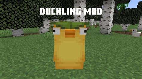 Duckling Mod Youtube