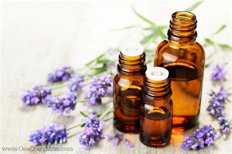Remember, essential oils are natural and complementary treatment. Best Essential Oils for Relaxation - 6 Essential Oils that ...