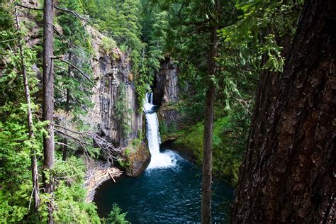 Unrivaled Wild Beauty Of Us National Forest Pacific Northwest Region