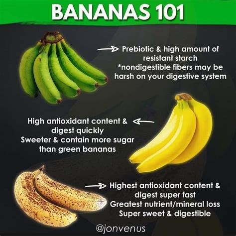 Bananas 101 Banana Banana Benefits Vegan Diet