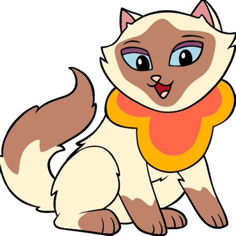 24 Facts About Sheegwa Miao Sagwa The Chinese Siamese Cat