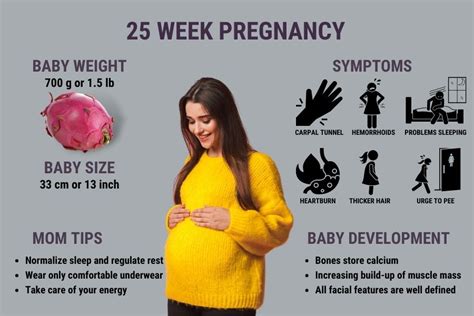 25 Weeks Pregnant Symptoms Ultrasound Baby Development
