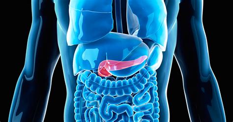 Pancreatic cancer versus chronic pancreatitis: Symptoms - Hirshberg Foundation for Pancreatic Cancer Research