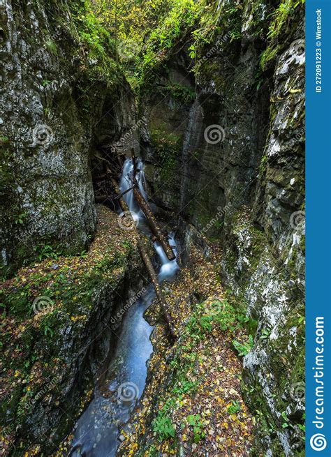 High Angle Shot Of A River Flowing Between Mossy Cliffs Stock Image