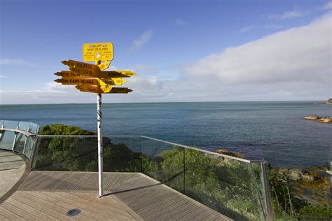 Discovering Stewart Island