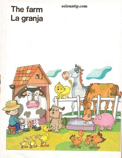 Laminas En Ingles Para Niños ~