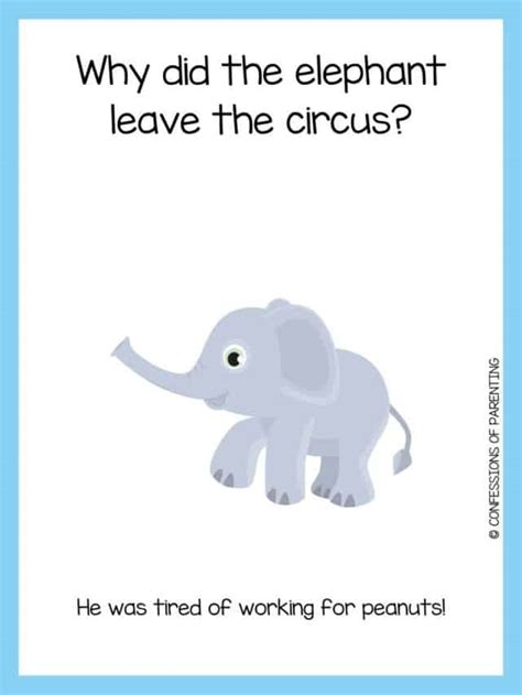 115 Funny Elephant Jokes That Make You Lol