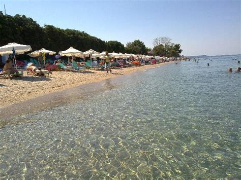 Hotel Beach Picture Of Grecotel Pella Beach Hanioti Tripadvisor