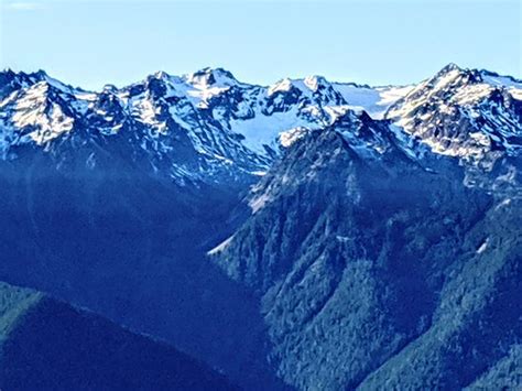 Hurricane Ridge Olympic National Park 2019 All You Need To Know