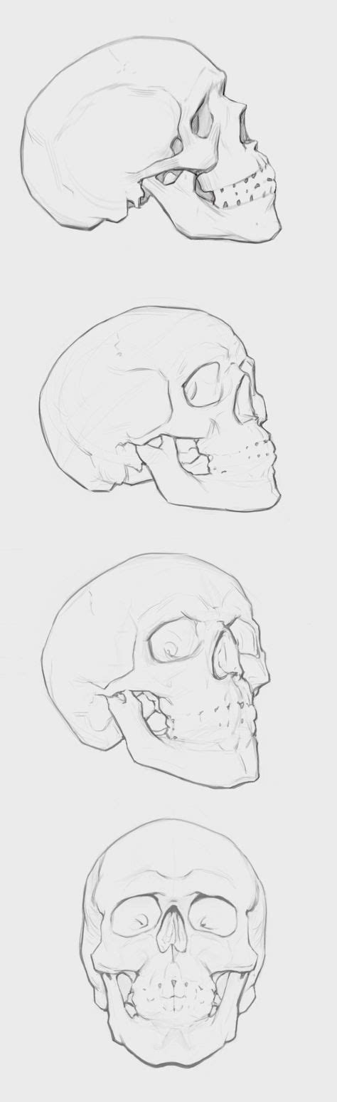 Artstation Skulls Paweł Fotek Skeleton Drawings Skulls Drawing