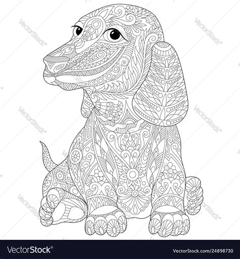 Dachshund Dog Adult Coloring Page Royalty Free Vector Image