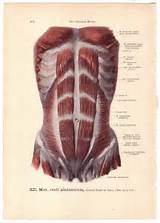 Pictures of Engaging Core Muscles