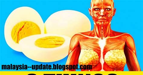 Things That Will Happen To Your Body If You Start Eating Eggs Health Fitness Tips