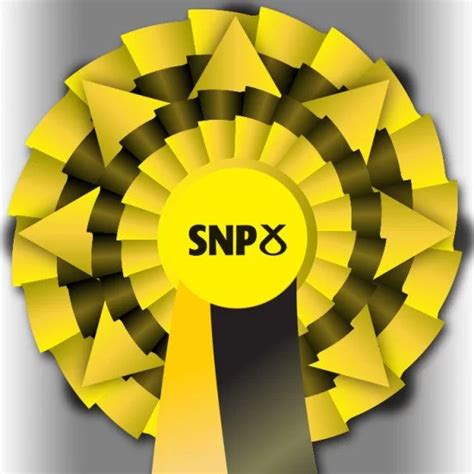 Snp Election Night Special Rosette
